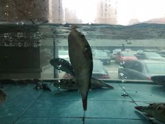 -浒顺大酒店(相城店)