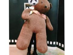 -济州岛泰迪熊博物馆