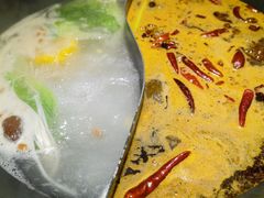 -阳阳老火锅(小南门店)