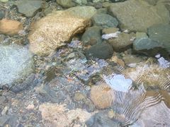 -鄣山大峡谷