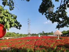 -盈香心动乐园
