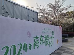-高东镇樱花园
