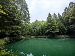 -山王坪喀斯特国家生态公园