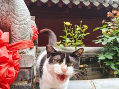 -长春观