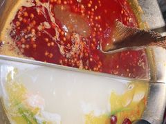 -九鼎轩脆毛肚火锅(三钢里店)
