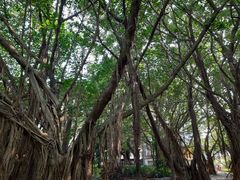 -北海市海滨公园