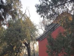 -南阳卧龙岗武侯祠