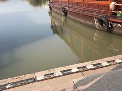 -长兴太湖图影湿地文化园