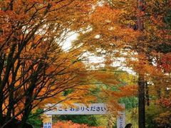 -比叡山