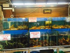-真浪花园海鲜餐馆