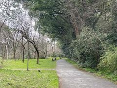 -杭州植物园