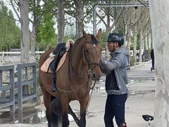 -北京群众马术培训基地