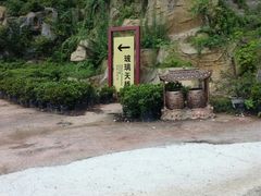 -木兰云雾山