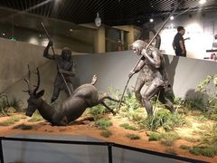 -北京周口店北京人遗址博物馆
