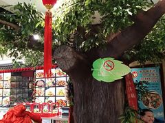 -邵年鸽(杨庄店)