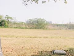 -漕湖湿地公园