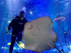 -沈阳海洋探索中心