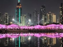 -西北湖绿化广场