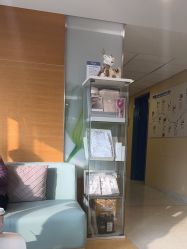 点击看大图 -杭州贝瑞斯美华妇儿医院·早孕·产检·儿科