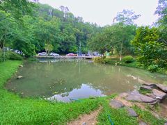 -火炉山森林公园
