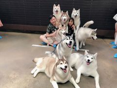 -TrueLove @ Neverland (Husky Cafe)