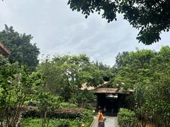 -英德宝晶宫天鹅湖茶语温泉