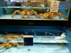 -石浦大酒店(百丈店)
