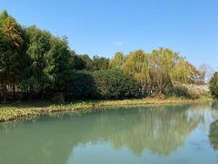 -贡湖湾湿地公园
