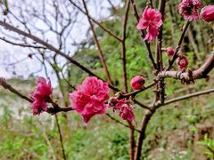 -广州市帽峰山景区