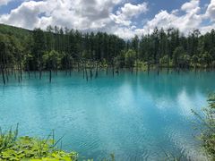-青池