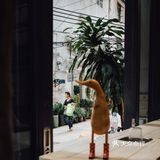 100家咖啡店分享｜12