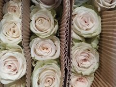 -三圣花乡旅游区