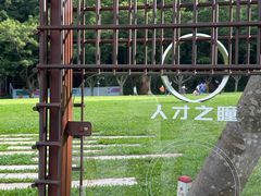 -银湖山郊野公园-相思林