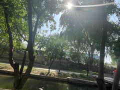-春风习习