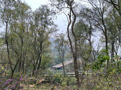 -西湖风景区-江洋畈生态公园