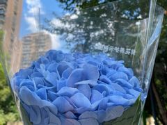 -盒马鲜生(杭州运河上街店)