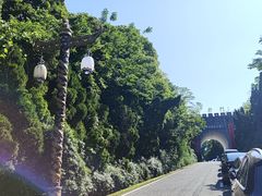 -宜兴龙背山森林公园