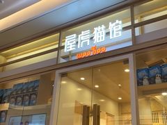 -屋虎猫馆(宝安大仟里店)