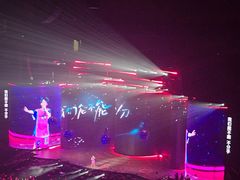 -宝能国际体育演艺中心