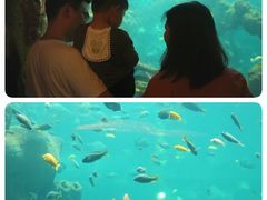 -长鹿旅游休博园