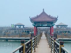 -呀路古热带植物园