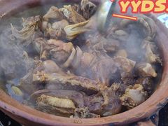 -霞姐屯昌枫木香草鸭店(海螺店)