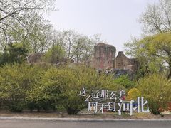 -秦皇岛野生动物园