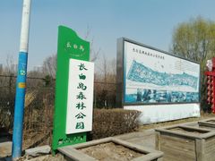 -长白岛森林公园