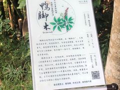 -世间香境·七溪地