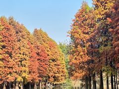 -厦门园林博览苑