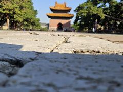 -北陵公园