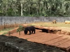 -海南热带野生动植物园