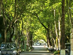 -浙江大学(玉泉校区)