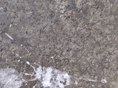 -禄源公·老莞诚饭店
